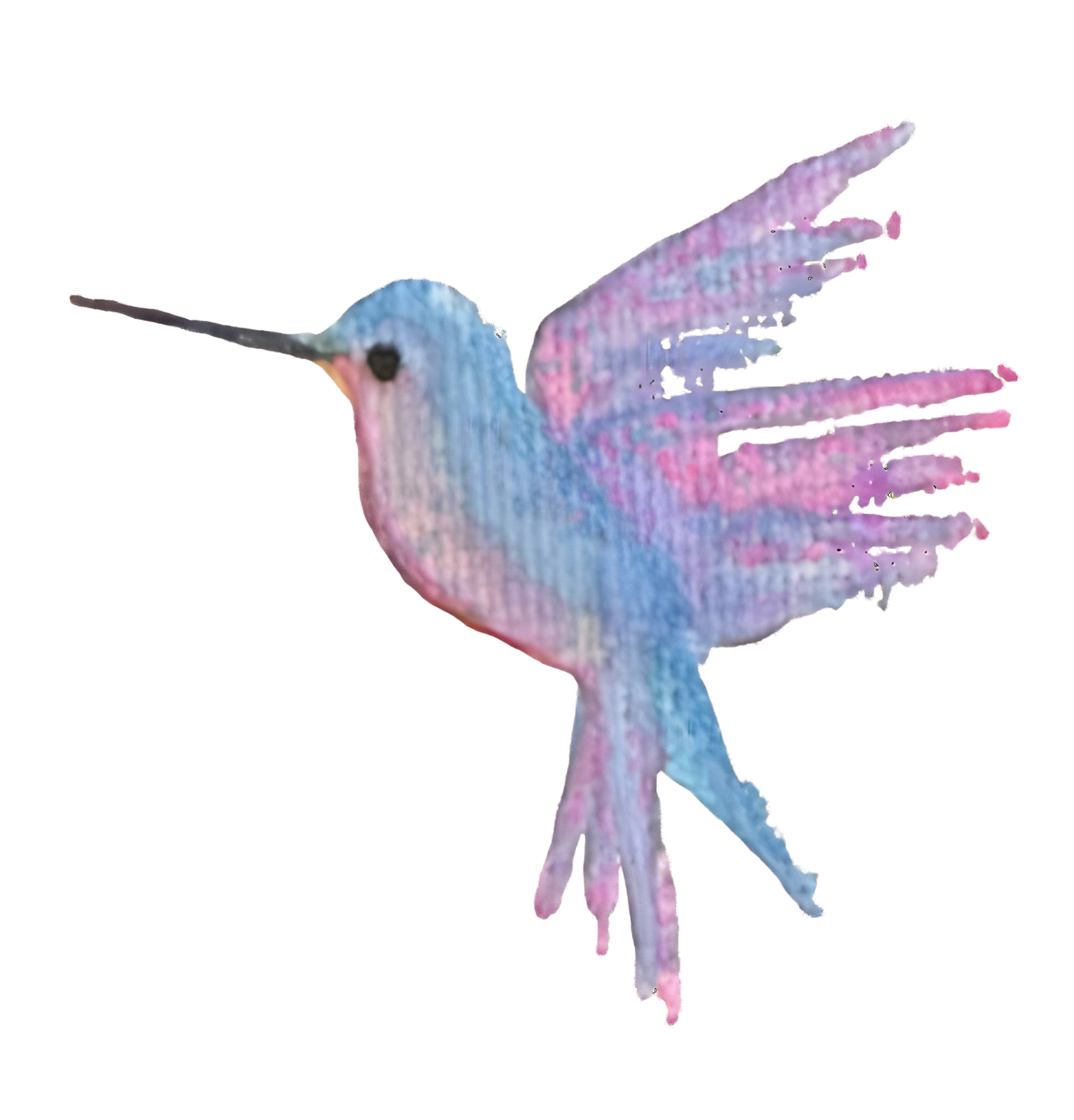 hummingbird